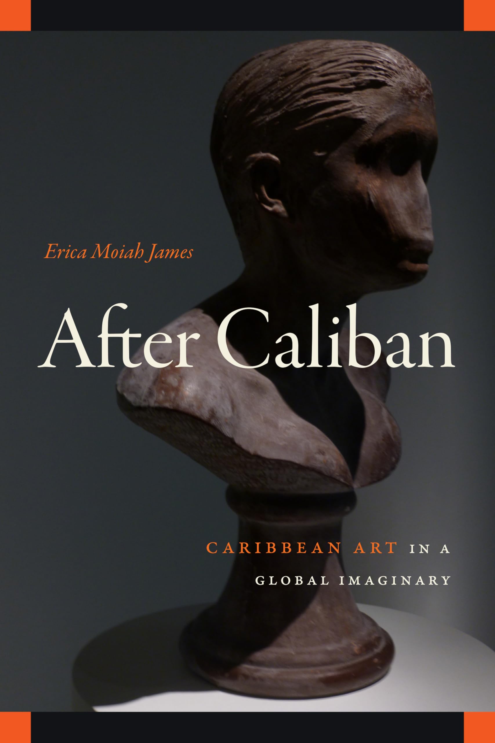 After Caliban: Caribbean Art in a Global Imaginary (Visual Arts of Africa and Its Diasporas) Books