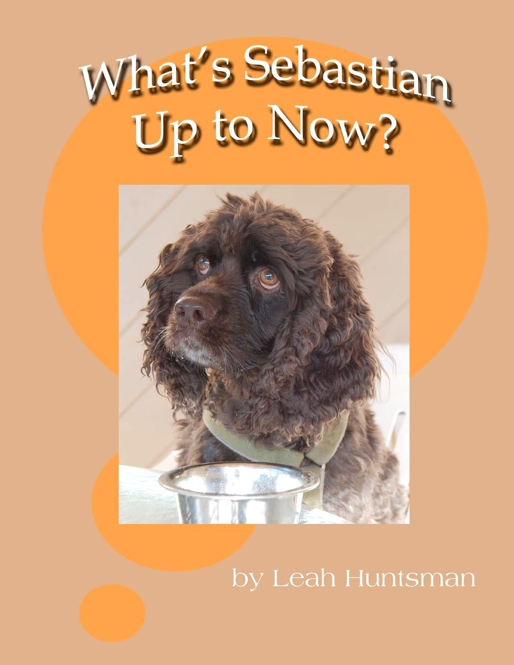 What's Sebastian Up to Now? Novels & Short Stories