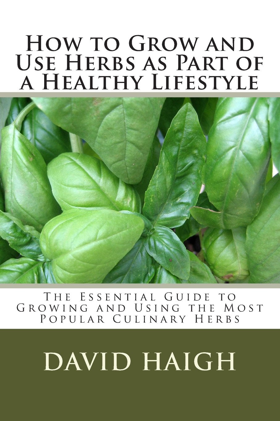 How to Grow and Use Herbs as Part of a Healthy Lifestyle: The Essential Guide to Growing and Using the Most Popular Culinary Herbs Garden & Plants