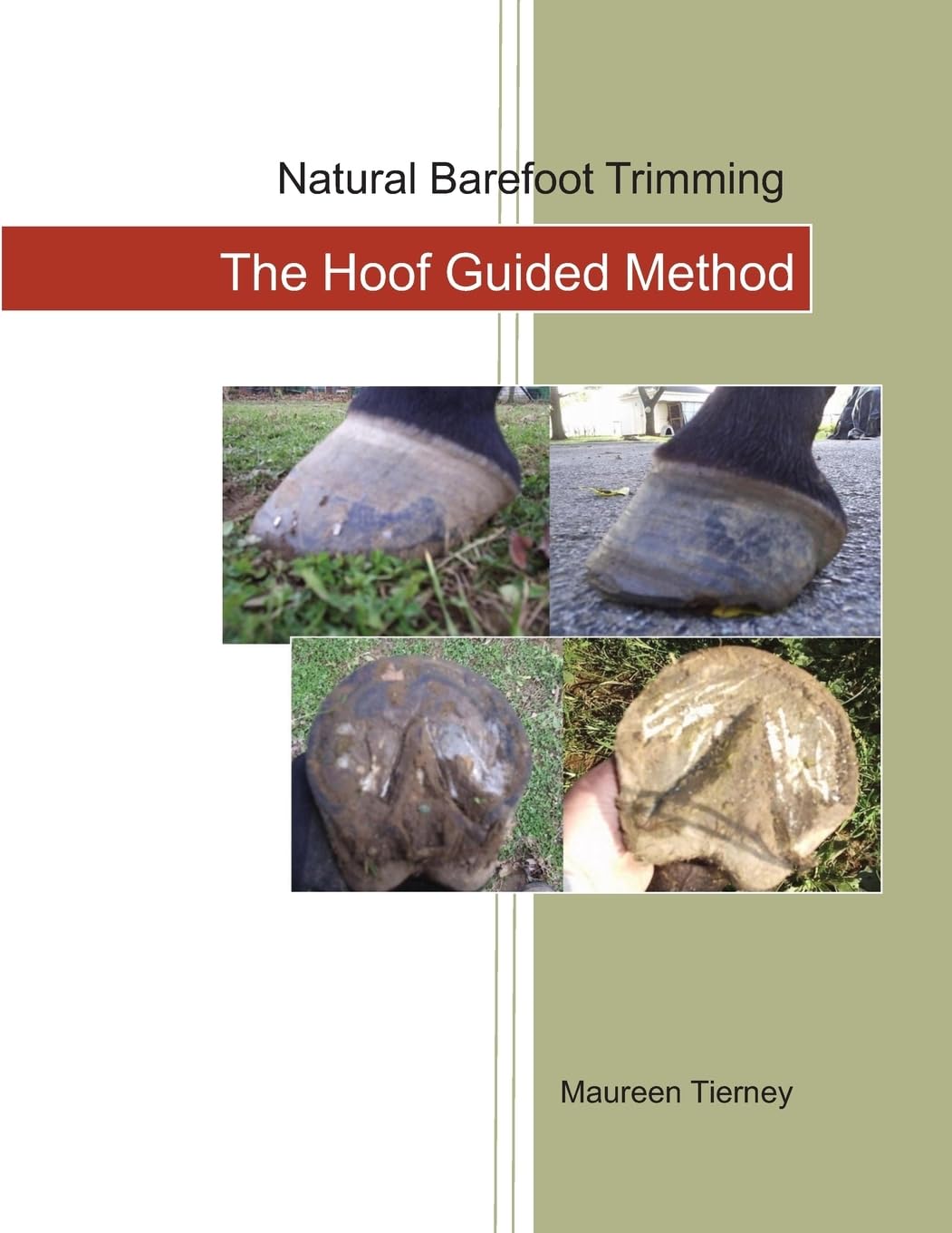 Natural Barefoot Trimming; The Hoof Guided Method Pets