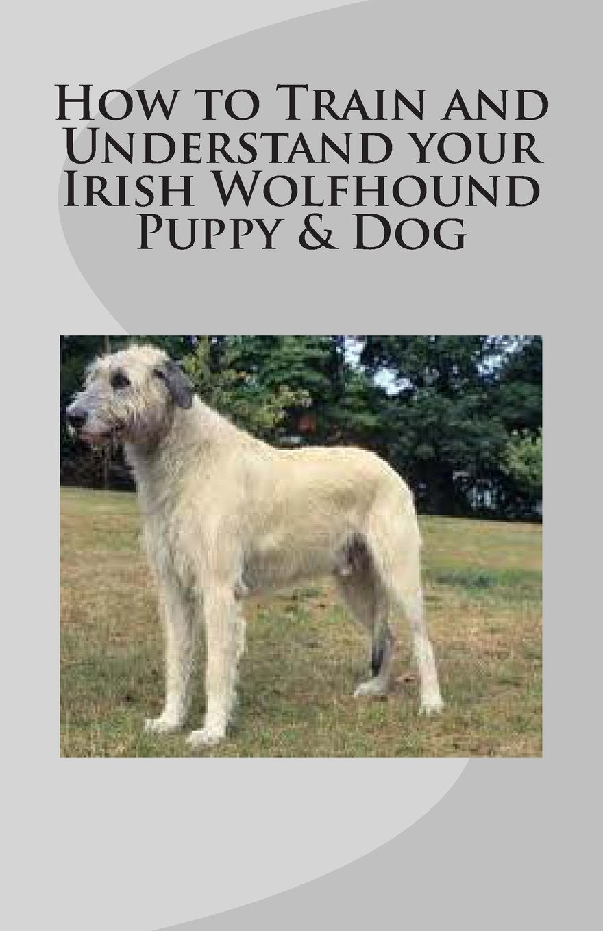 How to Train and Understand your Irish Wolfhound Puppy & Dog Pets