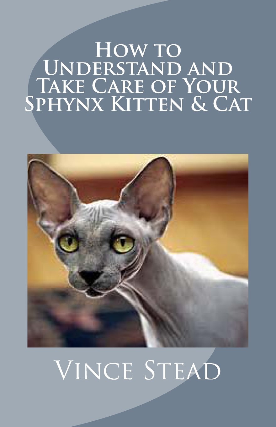 How to Understand and Take Care of Your Sphynx Kitten & Cat Pets