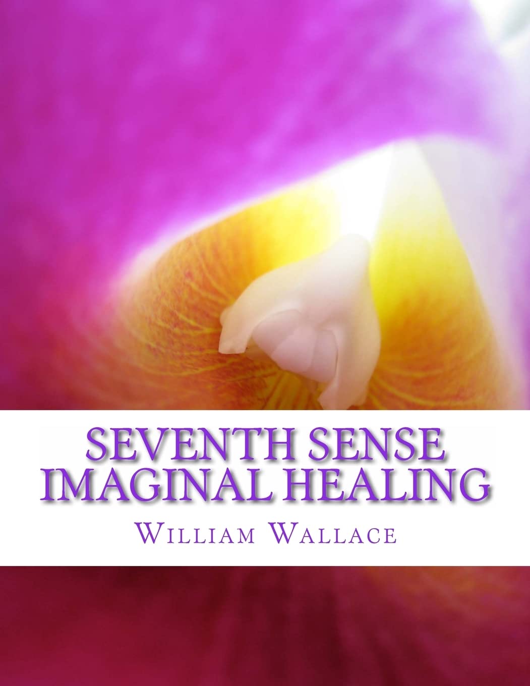 Seventh Sense Imaginal Healing: An homage to Dr. Richard Bartlett, Benjamin Bibb, Barbara Ann Brennan, Donna Eden, Dr. Meg Blackburn Losey, Dr. Gerald ... Carl Simonton, Thomas Willhite, and others. Lifestyle