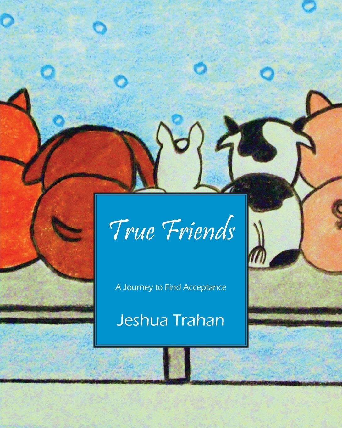 True Friends: A Journey to Find Acceptance Non-fiction