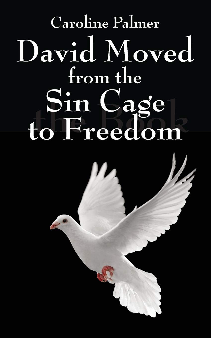 David Moved from the Sin Cage to Freedom Business, Finance & Career