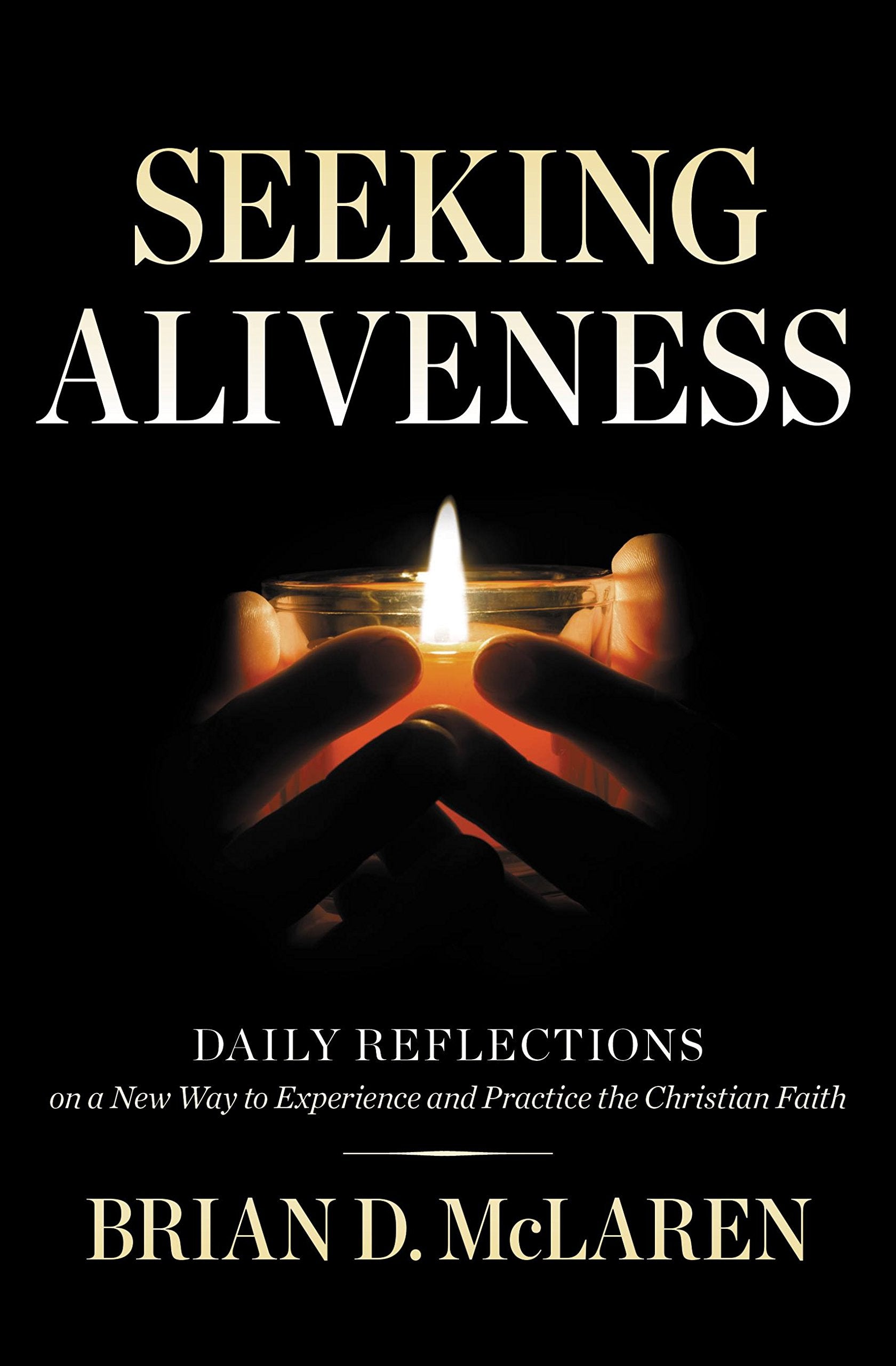 Seeking Aliveness: Daily Reflections on a New Way to Experience and Practice the Christian Faith Social Sciences