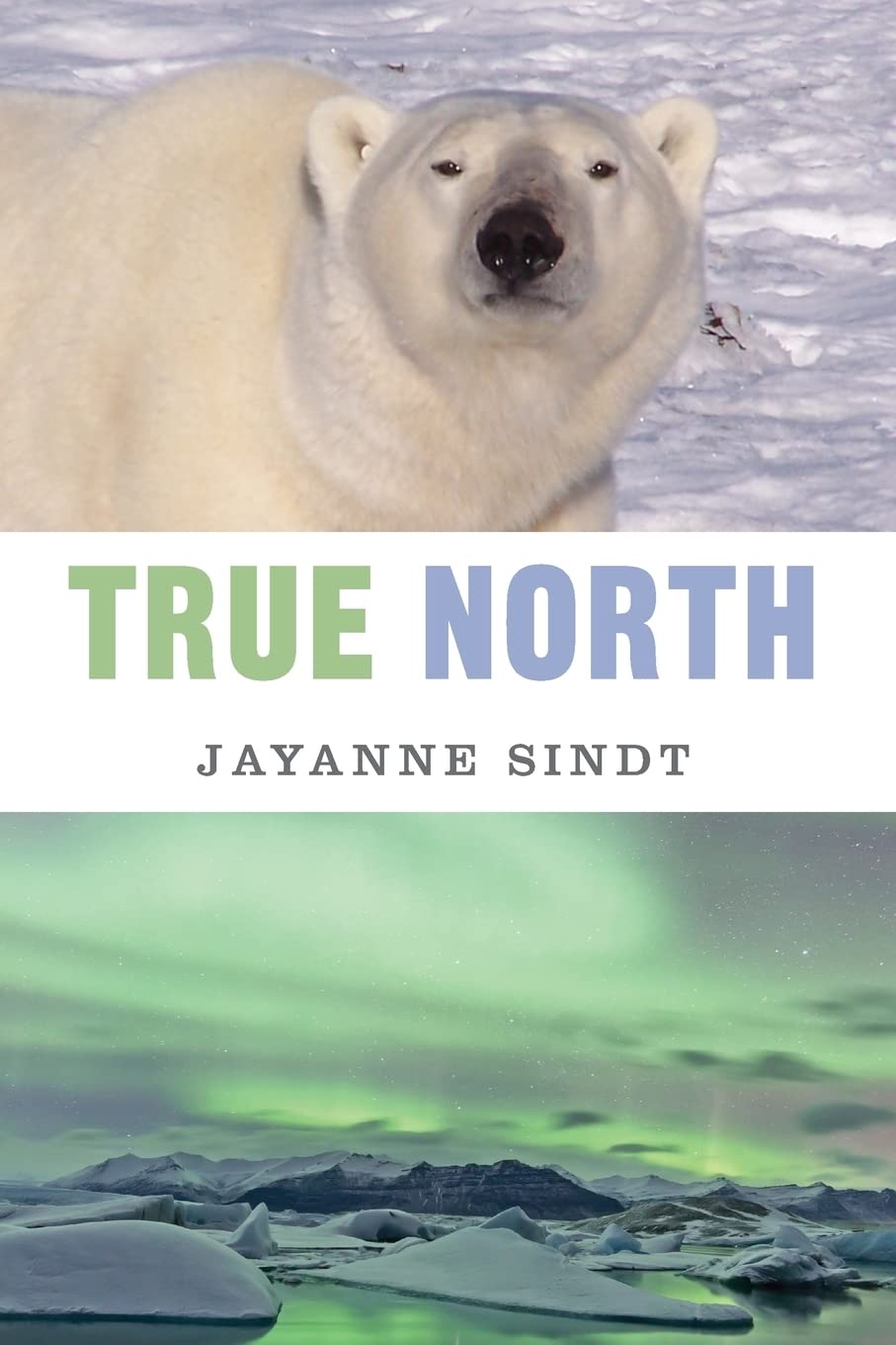 True North: An Arctic Fable (Arctic Fables, Band 2) Fantasy & Sci-Fi