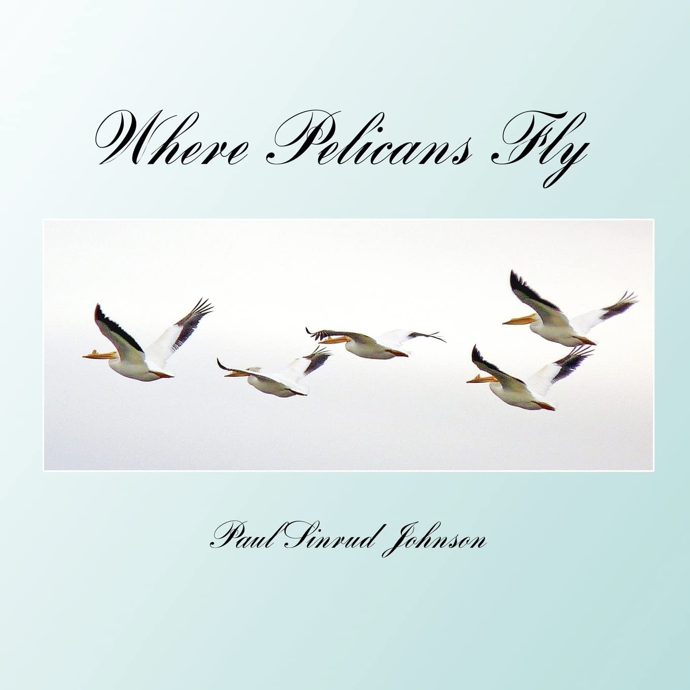 where pelicans fly: a celebration of the extraordinary everyday Mathematics