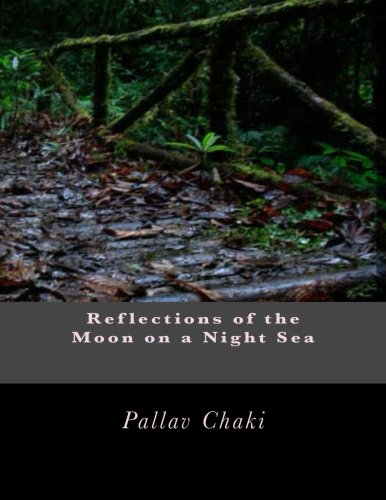 Reflections of the Moon on a Night Sea Poetry