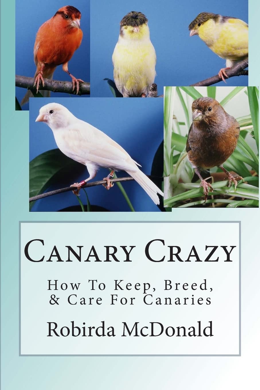 Canary Crazy: How to Keep, Breed, & Care for Canaries Pets