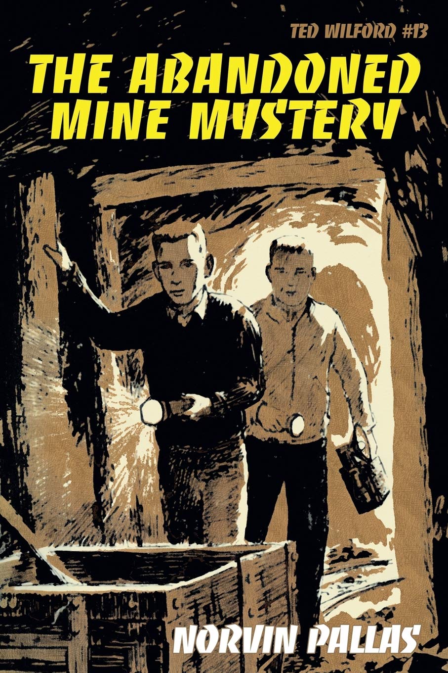 The Abandoned Mine Mystery: Ted Wilford #13 Contemporary literature