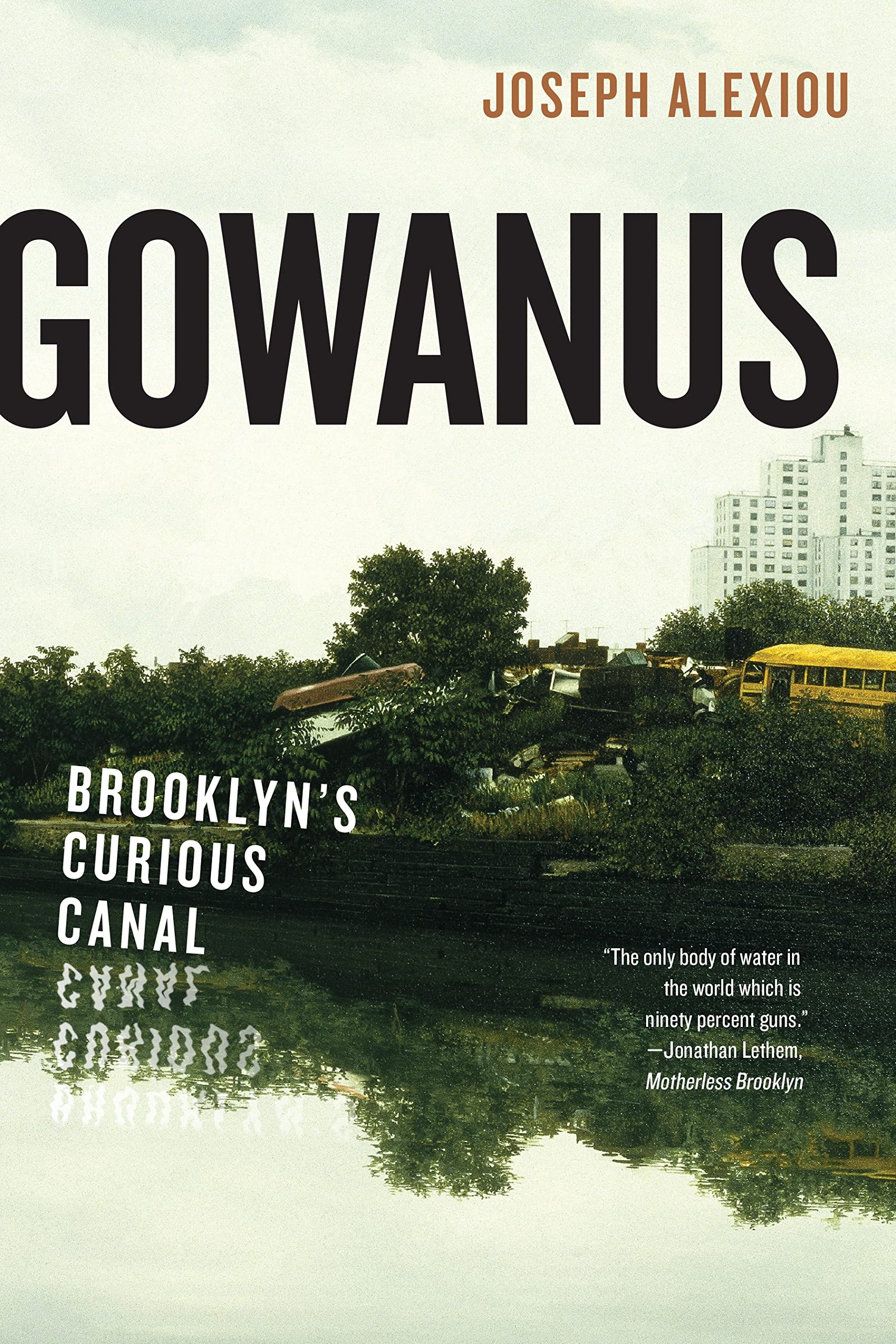 Gowanus: Brooklyn's Curious Canal: Brooklyn’s Curious Canal Social Sciences