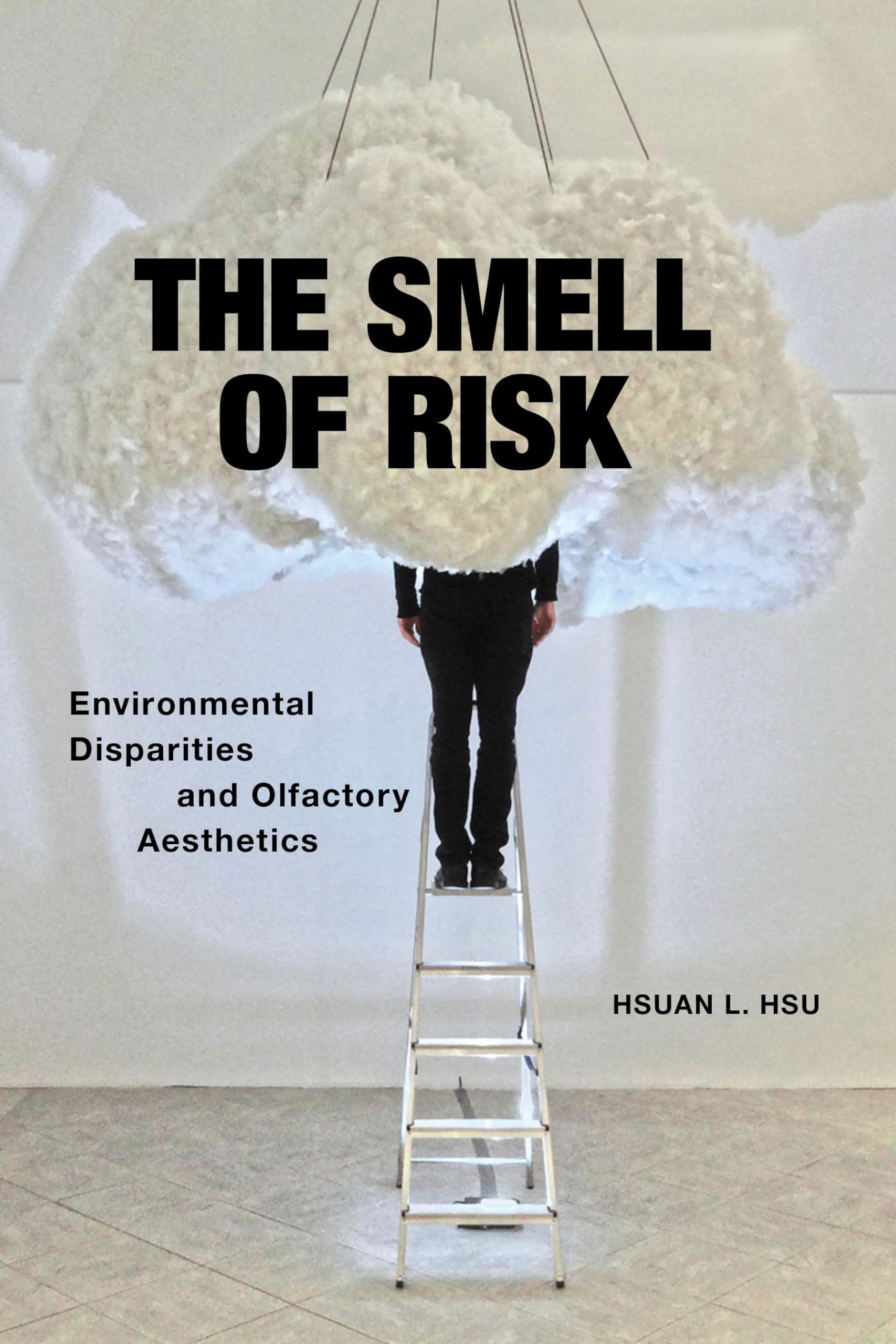 The Smell of Risk: Environmental Disparities and Olfactory Aesthetics Philosophy