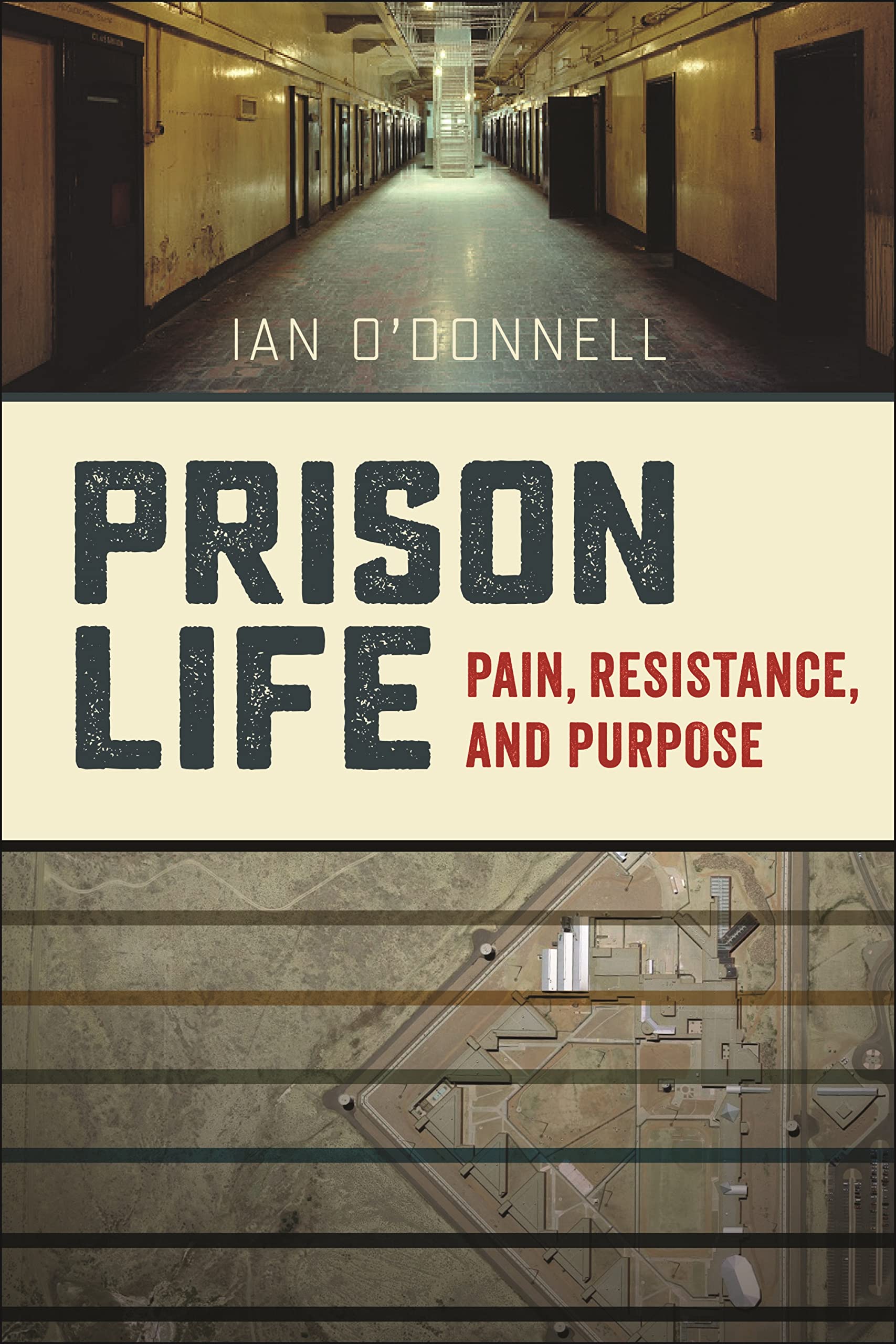 Prison Life: Pain, Resistance, and Purpose Law