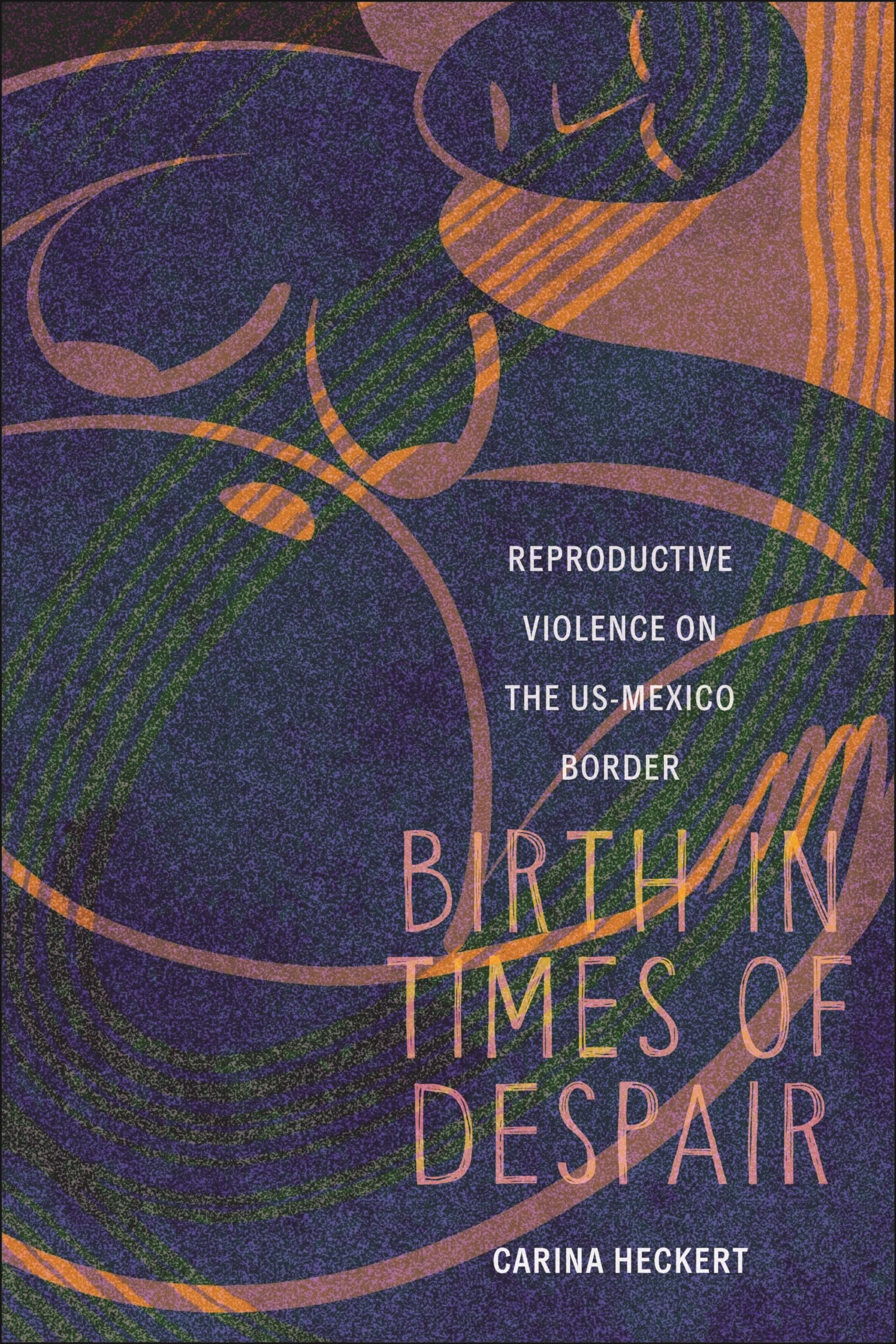 Birth in Times of Despair: Reproductive Violence on the Us-mexico Border (Anthropologies of American Medicine: Culture, Power, and Practice) Medicine