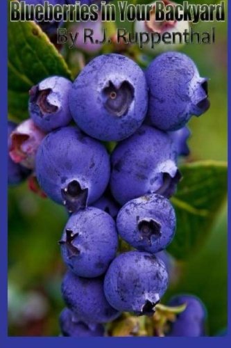 Blueberries in Your Backyard: How to Grow America’s Hottest Antioxidant Fruit for Food, Health, and Extra Money Garden & Plants