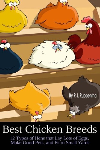 Best Chicken Breeds: 12 Types of Hens that Lay Lots of Eggs, Make Good Pets, and Fit in Small Yards (Plus Bonus: 5 Varieties of Exotic Poultry) Pets