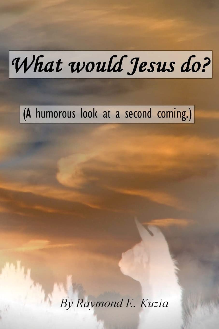 Product Image: What would Jesus do?
