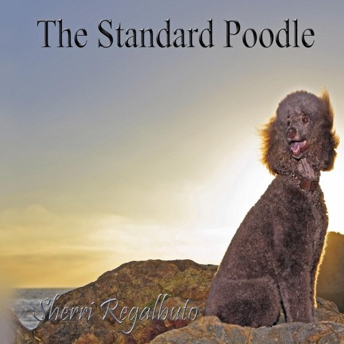 The Standard Poodle - Anything But Standard Pets