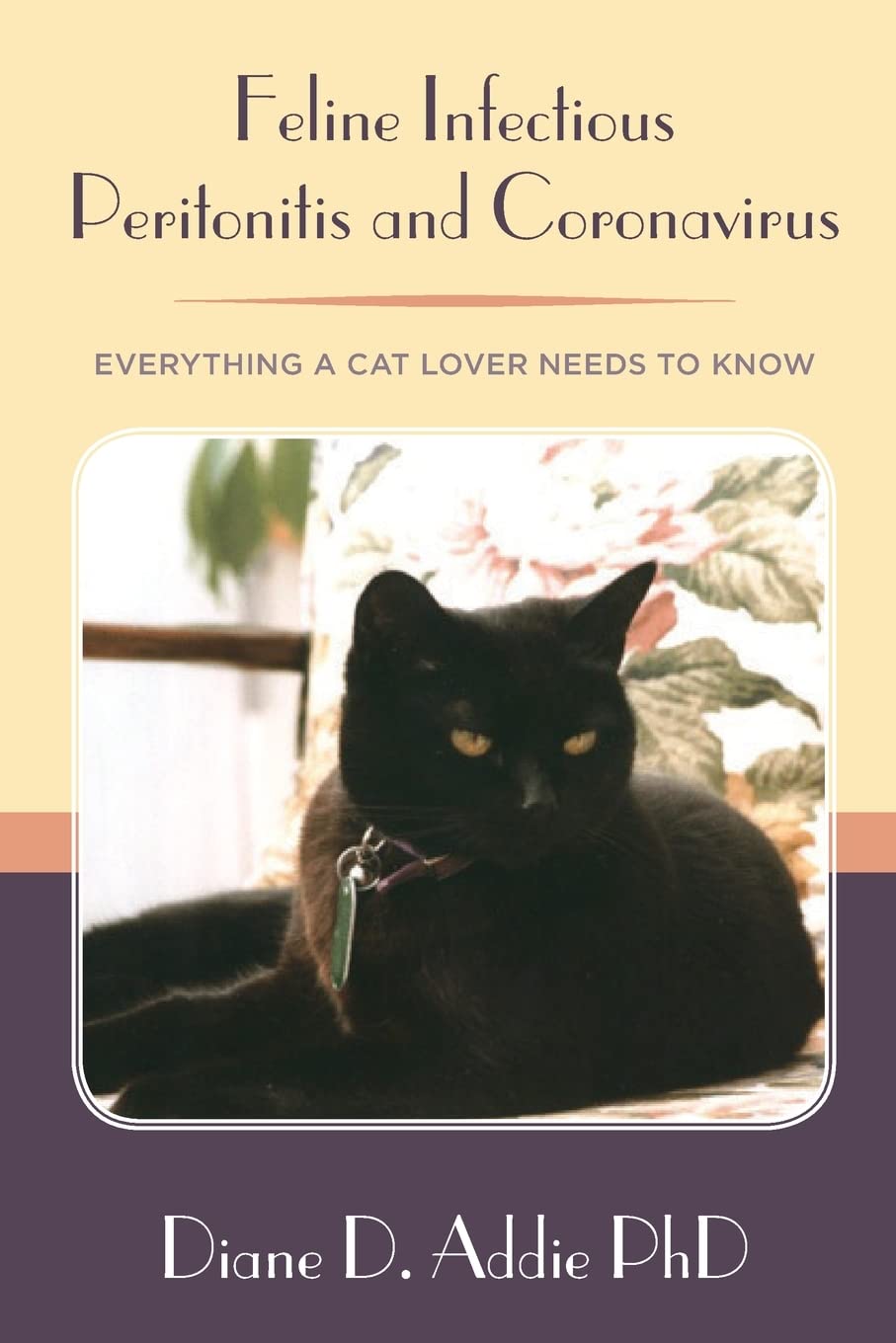 Feline Infectious Peritonitis and Coronavirus: Everything a cat lover needs to know Pets