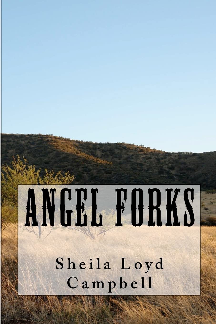 Angel Forks Contemporary literature Books