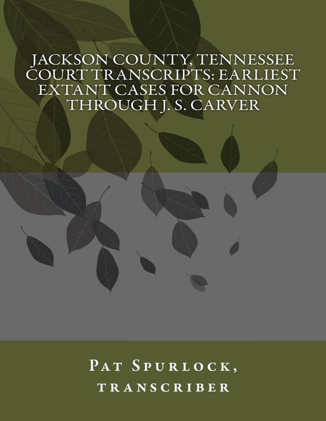 Jackson County, Tennessee Court Transcripts: Earliest Extant Cases For Cannon Through J. S. Carver Politics & History