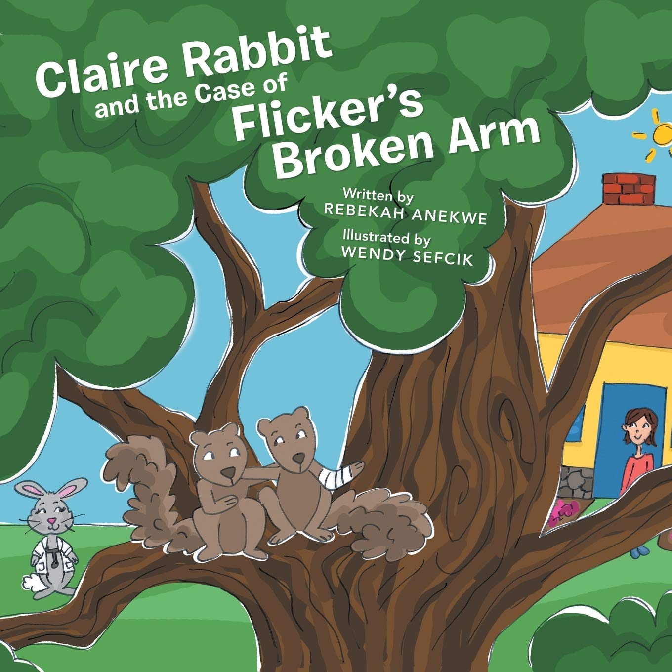 Claire Rabbit and the Case of Flicker's Broken Arm Novels & Short Stories