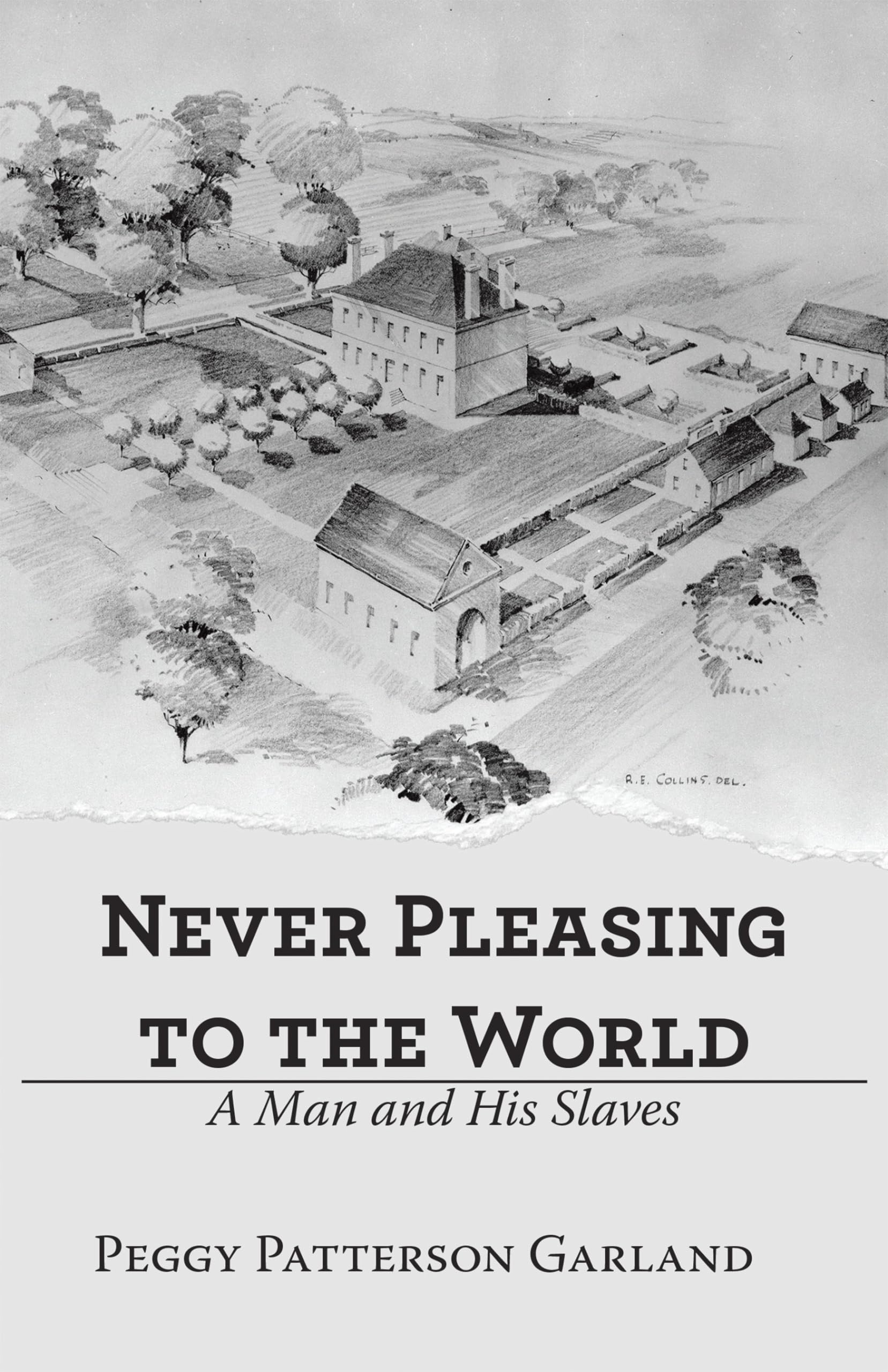 Never Pleasing to the World Historical Fiction