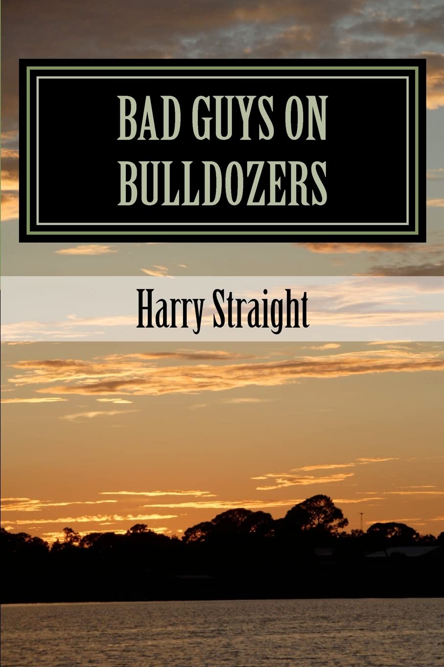 Bad Guys on Bulldozers: The Environmental Voice in Florida-based Crime Fiction Contemporary literature