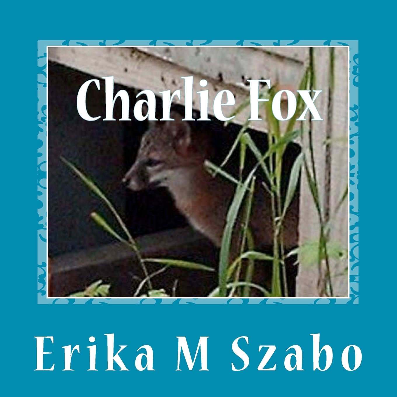 Charlie Fox: Leader of the magnificent seven baby foxes Mathematics