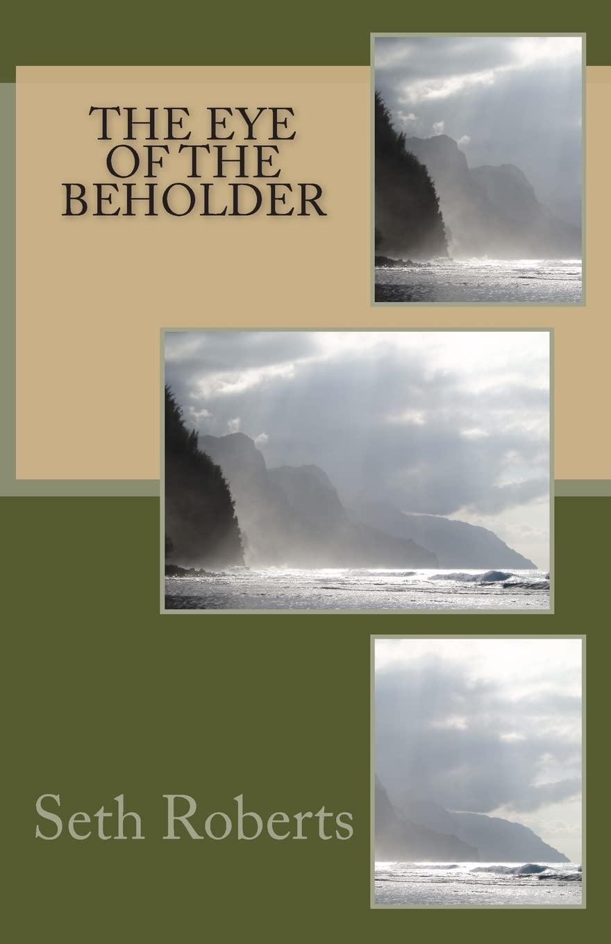 The eye of the beholder (Studies in Macroeconomic History) Contemporary Romance