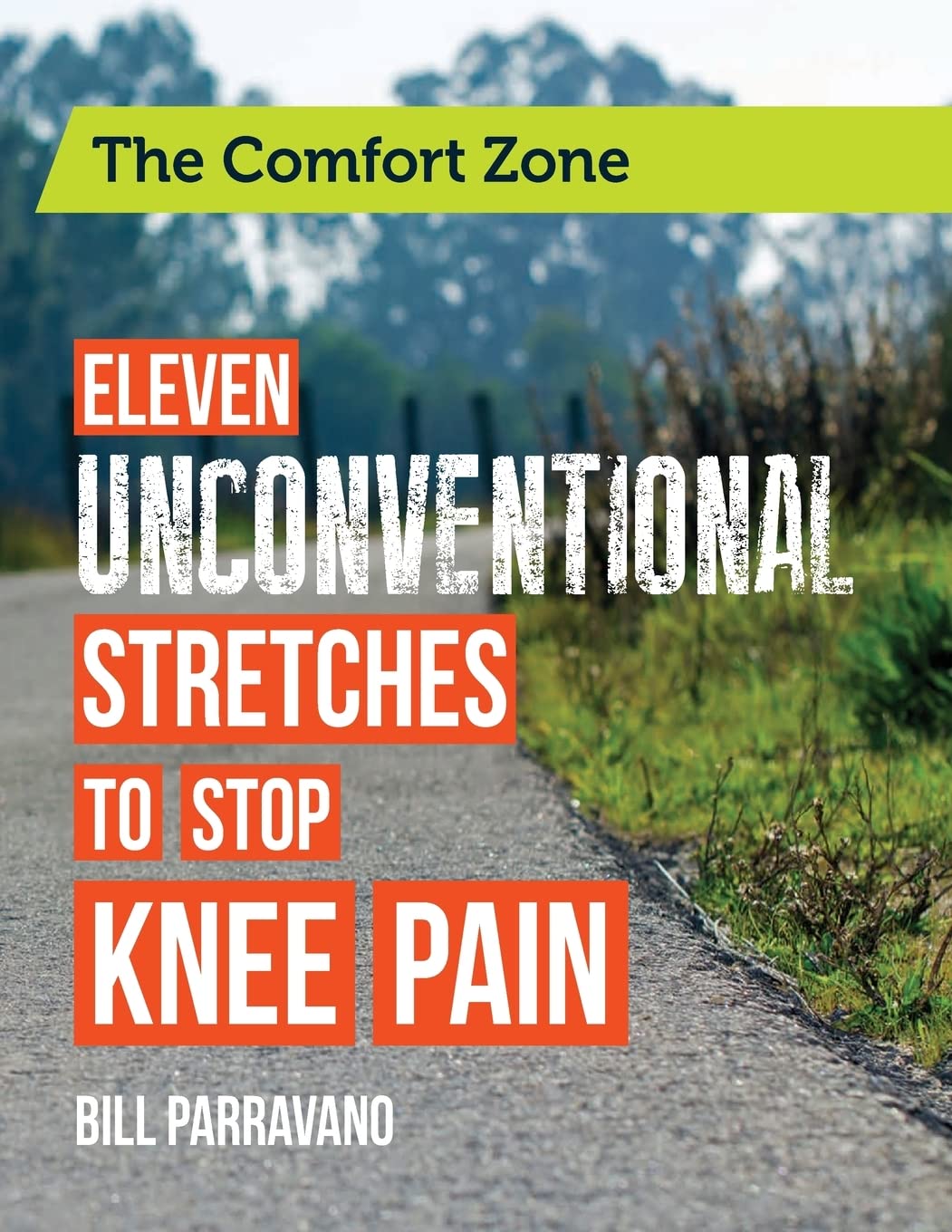 The Comfort Zone: Eleven Unconventional Stretches to Stop Knee Pain book