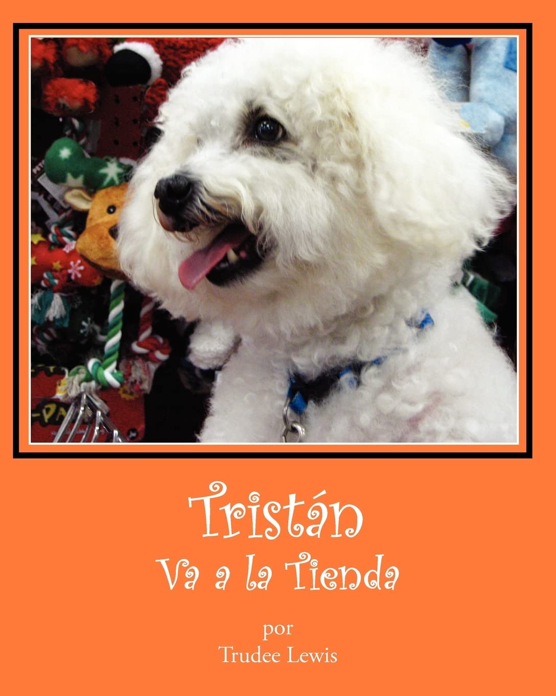 Tristan Va a la Tienda / Tristan Goes to the Store (Cuentos Sobre Tristan Y Trudee, Band 6) Study Guides