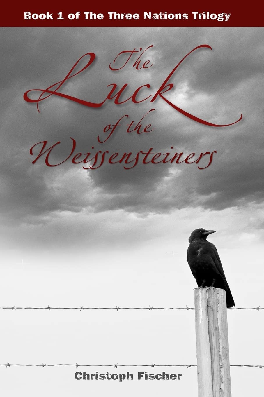 The Luck of the Weissensteiners (The Three Nations Trilogy, Band 1) Historical Fiction