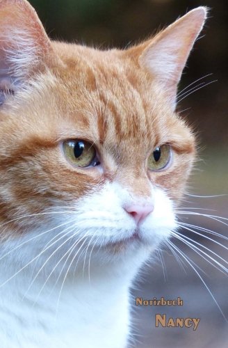 Notizbuch Nancy: Katze, 5.25 x 8 Zoll (ca. A5), liniert, 94 Seiten Business, Finance & Career