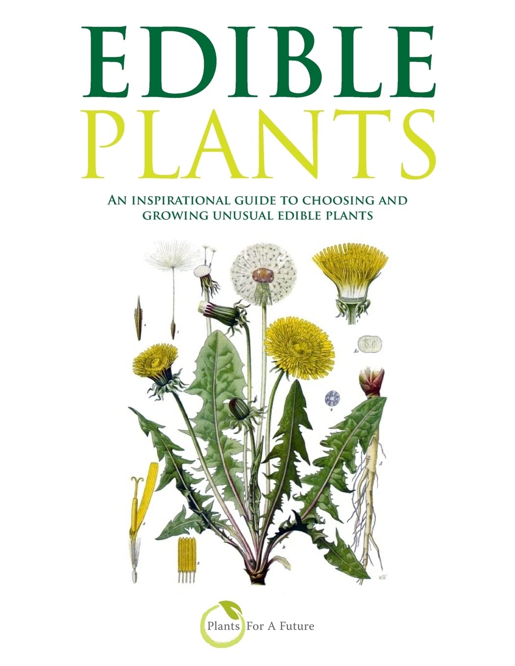 Edible Plants: An inspirational guide to choosing and growing unusual edible plants book