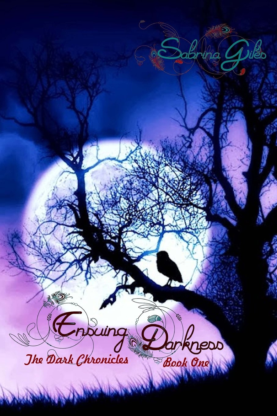 Ensuing Darkness (The Dark Chronicles, Band 1) Urban Fantasy