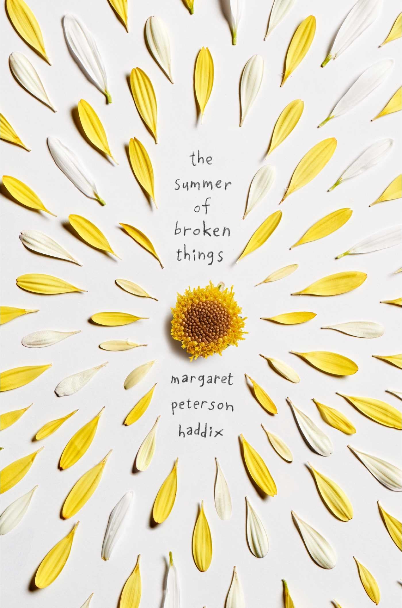 The Summer of Broken Things book