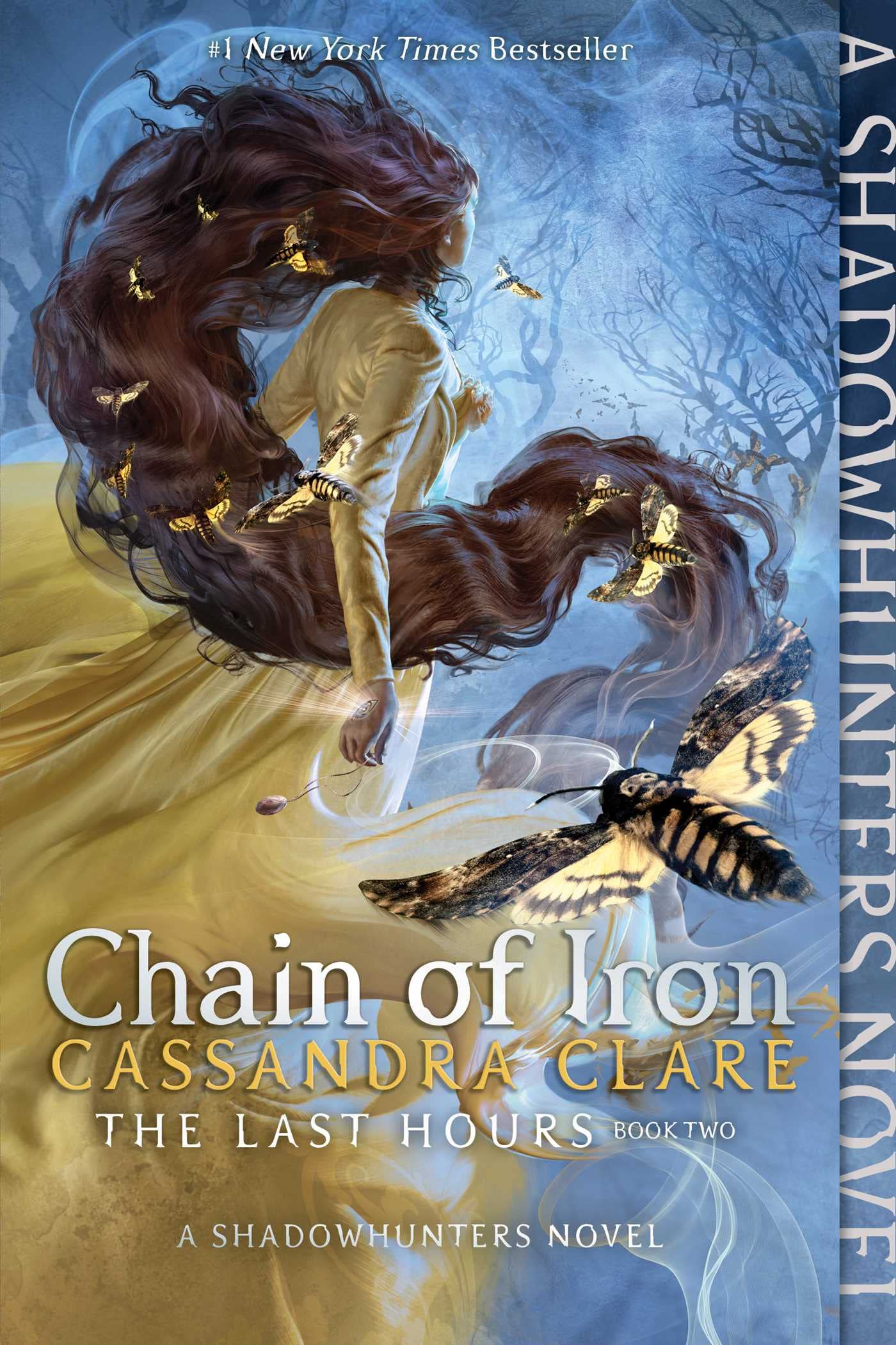 Product Image: Chain of Iron