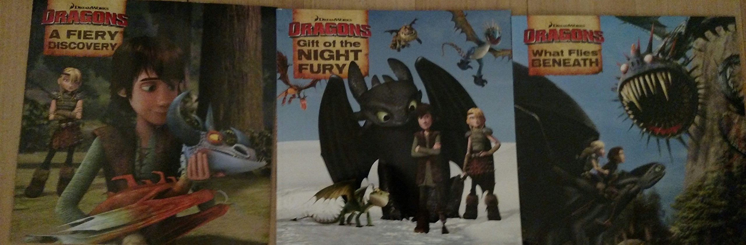 DreamWorks Dragons: A Fiery Discovery; Gift of the Night Fury; and/or What Flies Beneath Books