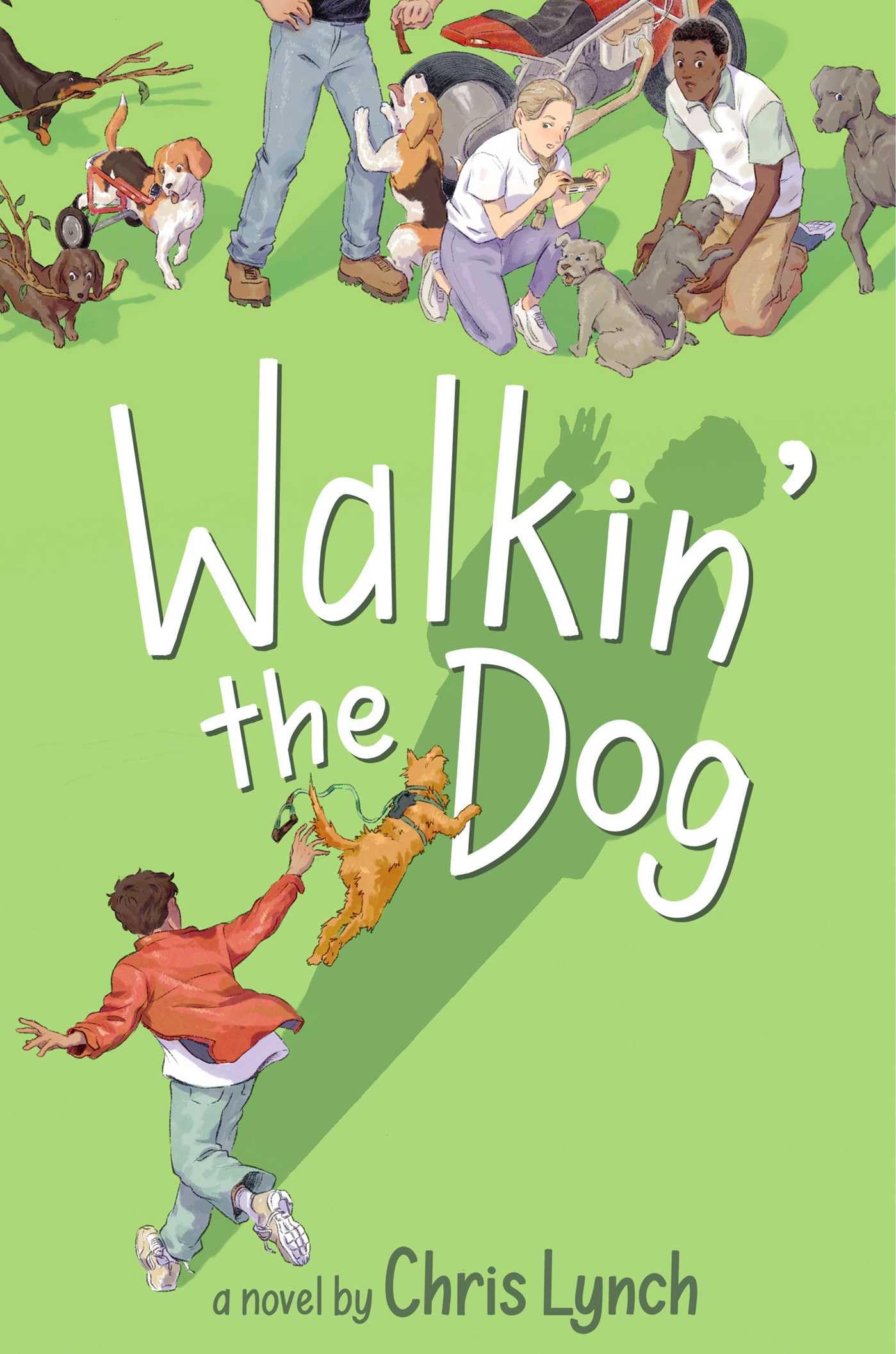 Product Image: Walkin' the Dog