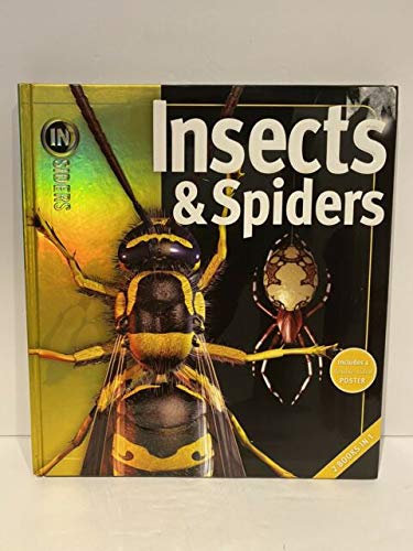 insects & spiders/rain forests (2 books in 1) Books