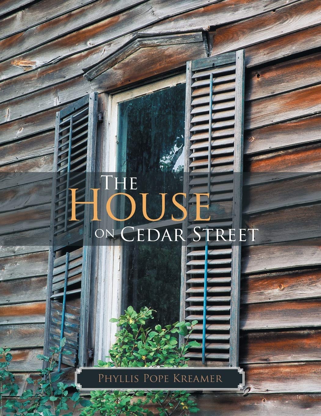 The House on Cedar Street Action & Adventure