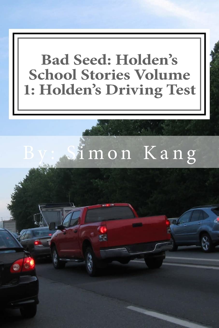Bad Seed: Holden's School Stories Volume 1: Holden's Driving Test: Holden Alexander Schipper is hitting the streets This Christmas! Humour & Satire