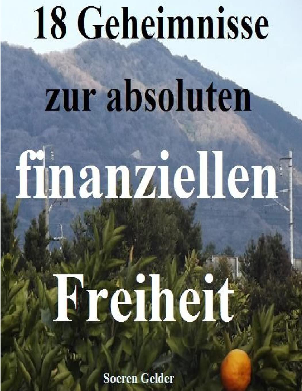 18 Geheimnisse zur absoluten finanziellen Freiheit Business & Technology