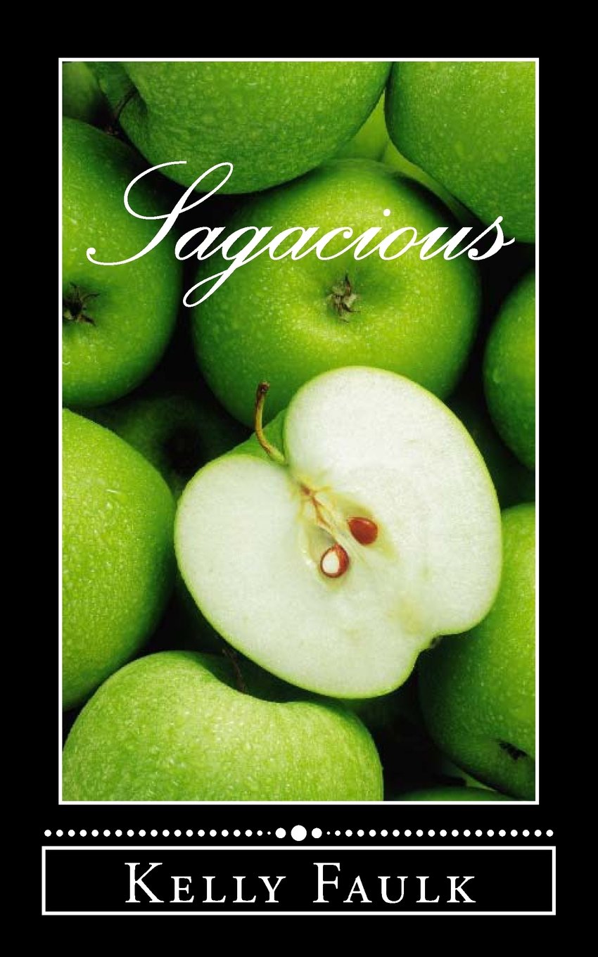 Sagacious (The Rage Series, Band 7) Romantic Fantasy