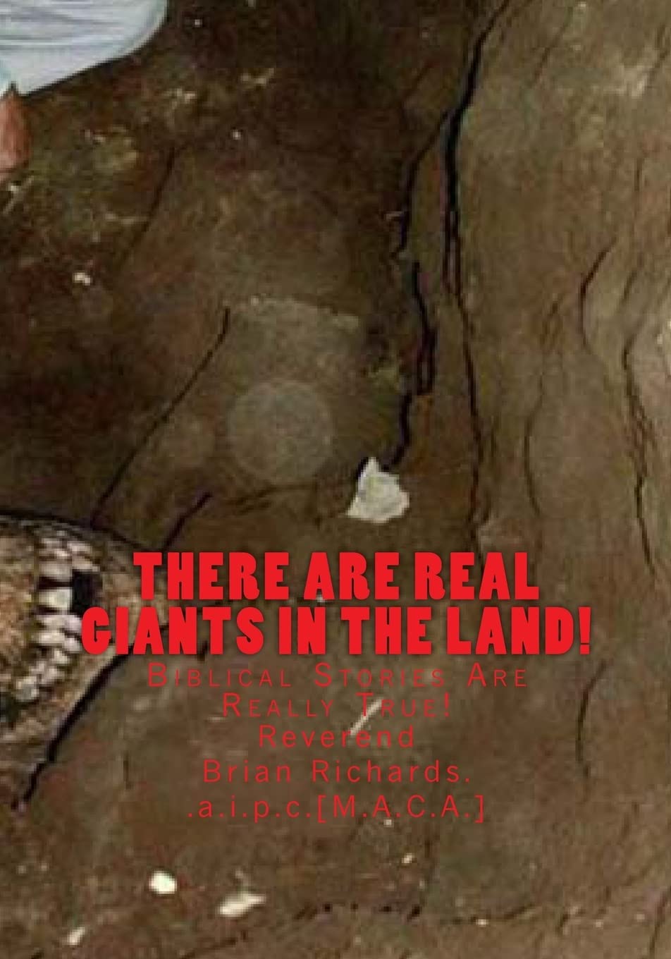 There Are Real Giants In The Land.: Biblical Stories Are Really True! (Will You Be A Horse For God, Band 2) Politics & Society