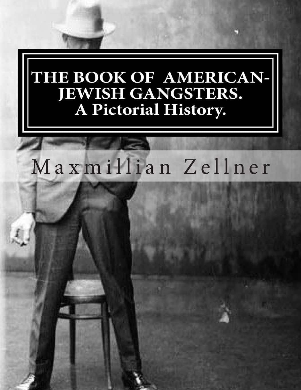 The Book of American-Jewish Gangsters: A Pictorial History. Politics & Society Books