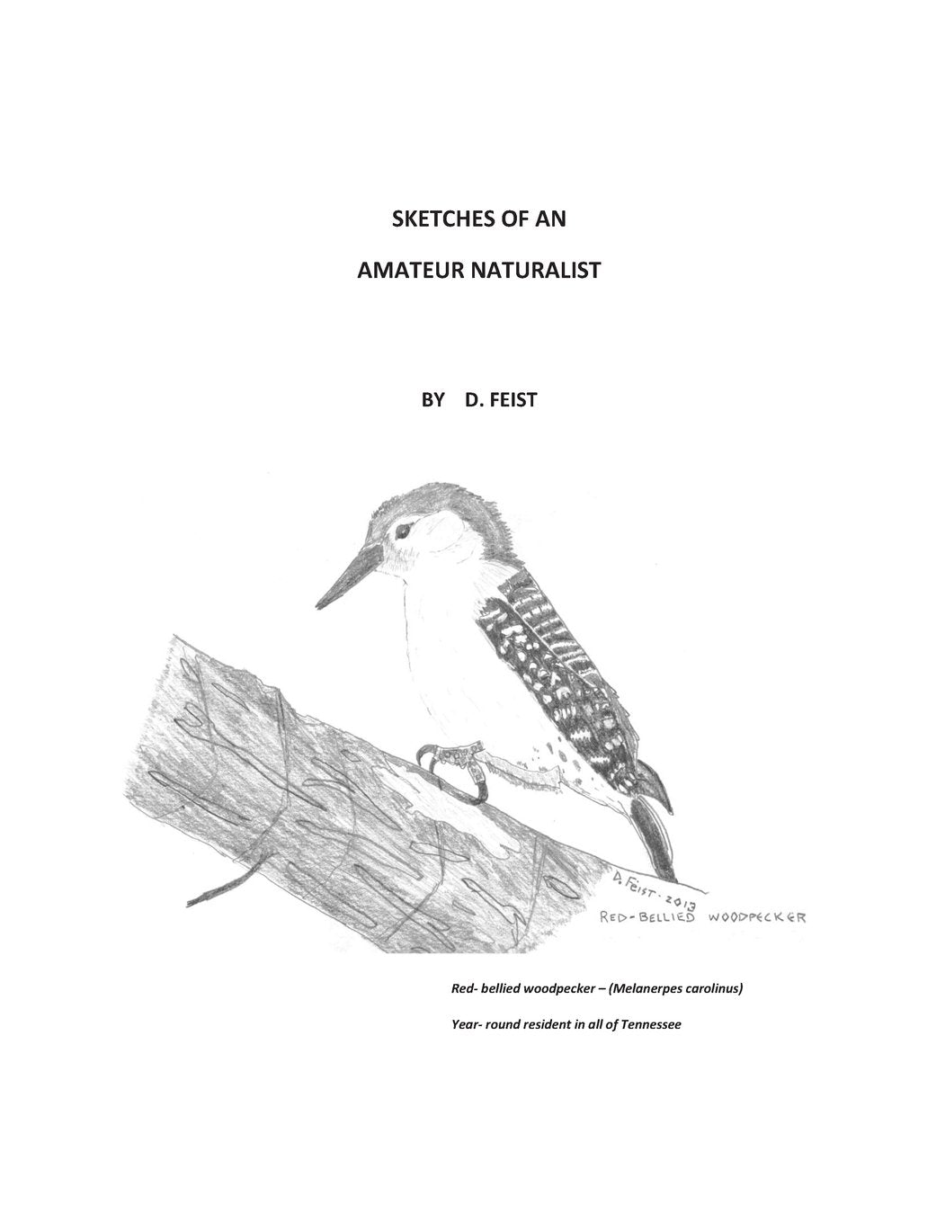 Sketches of an Amateur Naturalist Film, Art & Culture