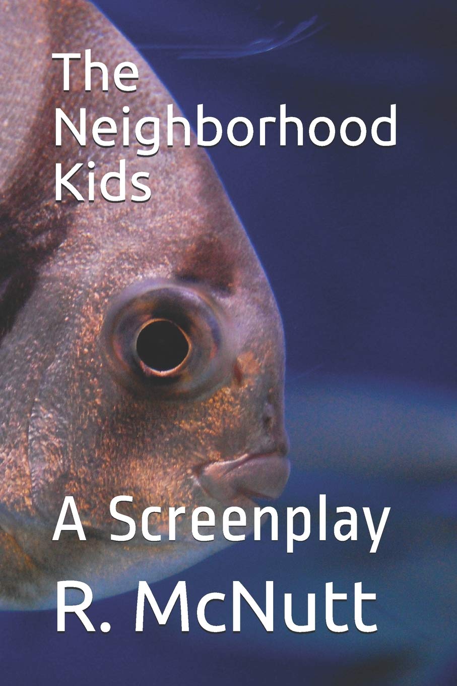 The Neighborhood Kids: A Screenplay Non-fiction